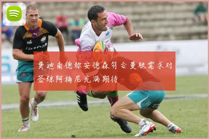 费迪南德称安德森符合曼联需求对签琼阿梅尼充满期待